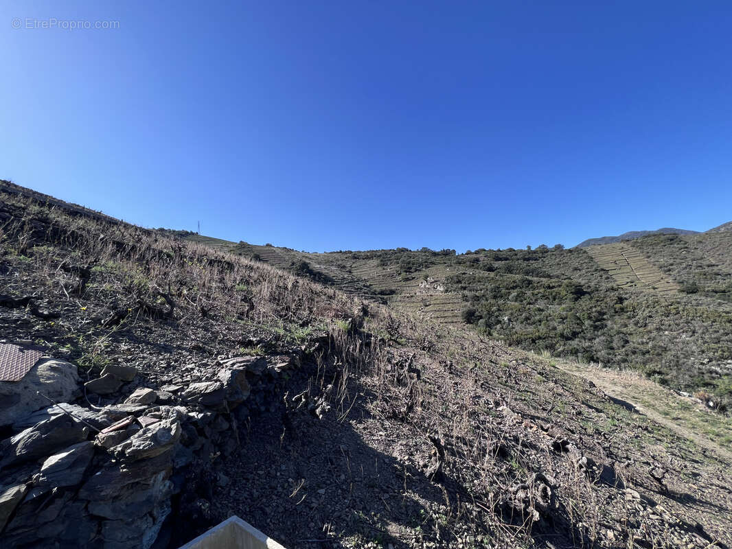 Terrain à BANYULS-SUR-MER