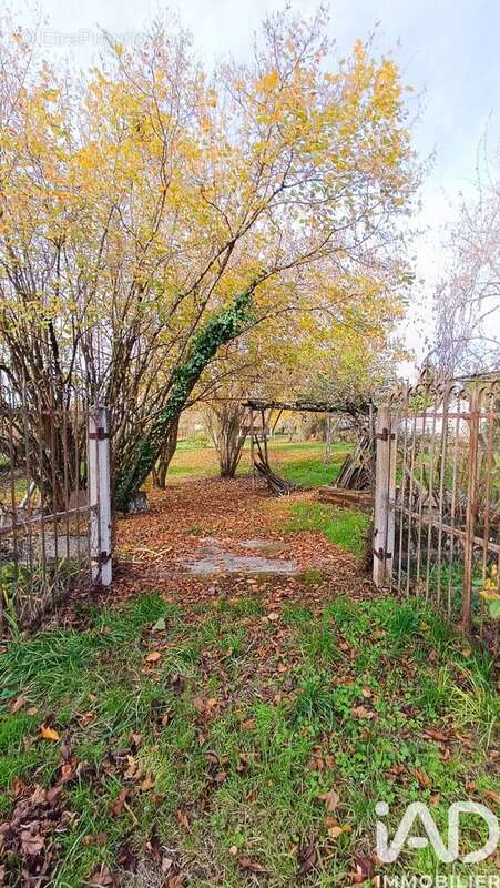 Photo 5 - Maison à BUZANCAIS