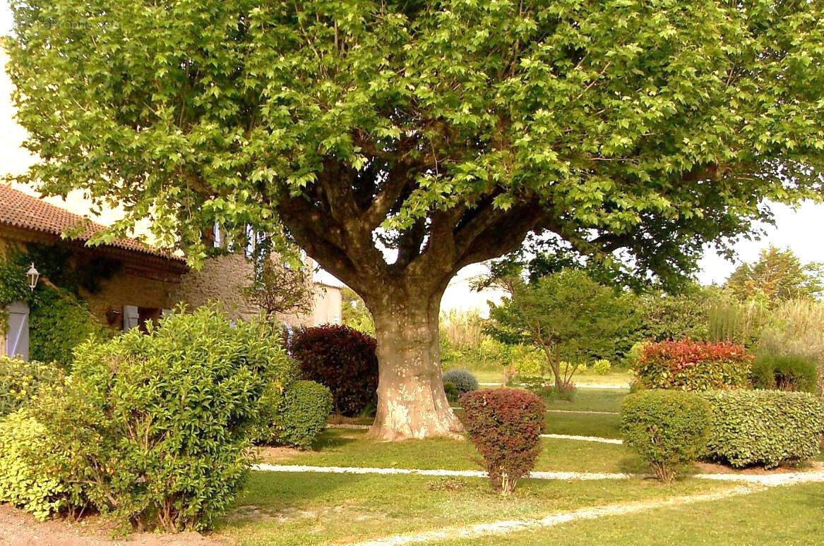 Maison à L'ISLE-SUR-LA-SORGUE