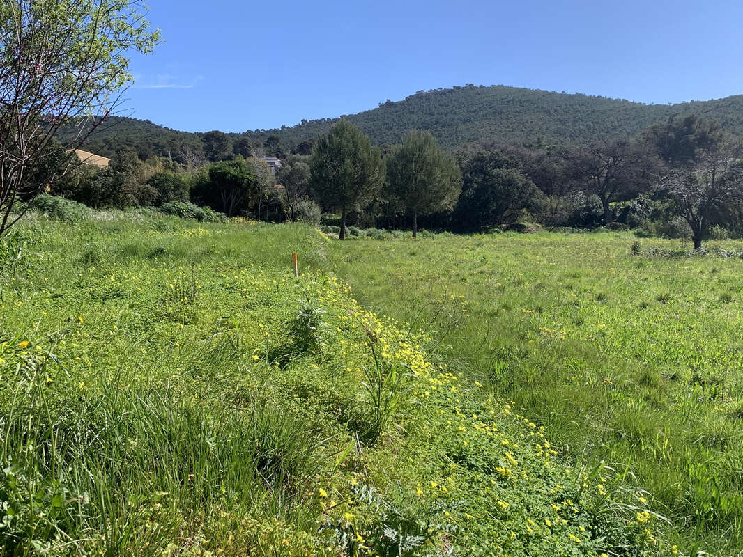 Terrain à LE PRADET