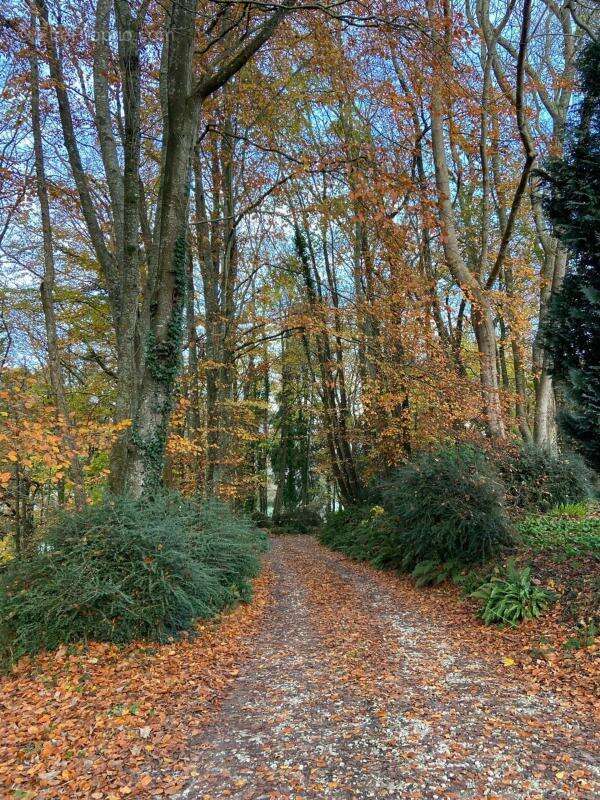 Maison à CHERBOURG-OCTEVILLE