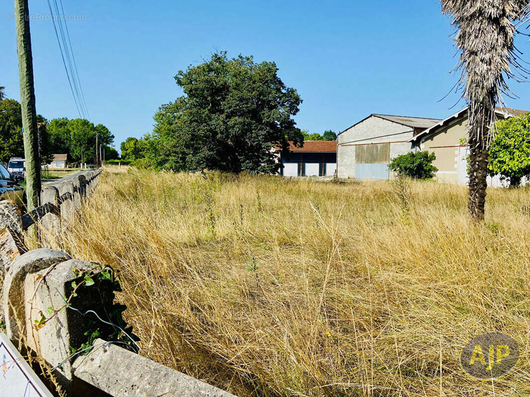 Gaillan - Terrain à bâtir 700m2 - photo 13