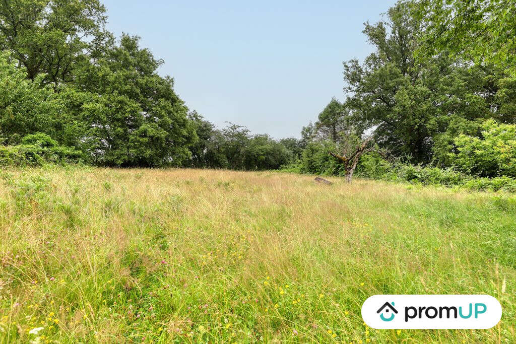 Terrain à ORADOUR-SUR-VAYRES