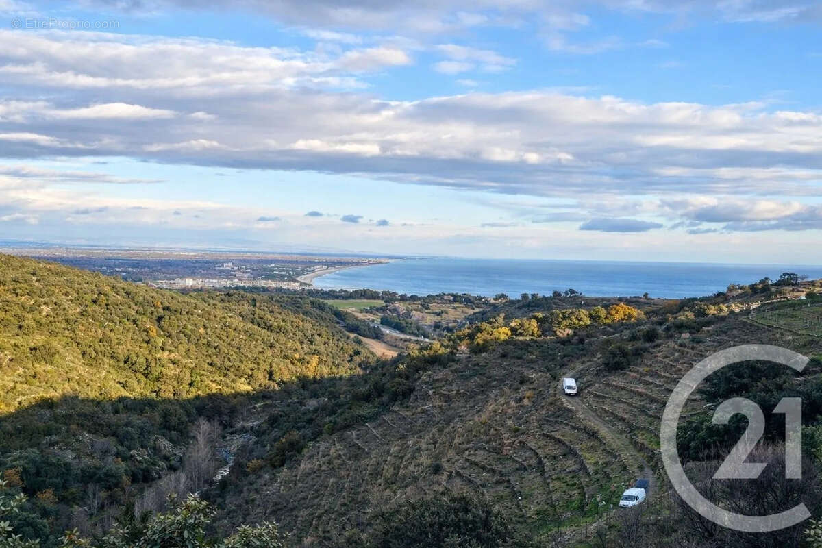 Terrain à COLLIOURE