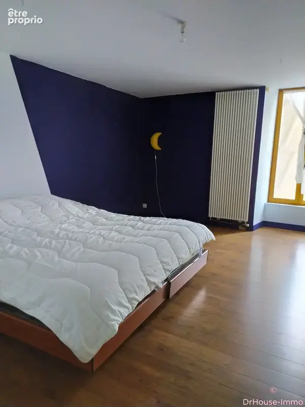 Maison 8 pièces 224 m² à vendre à Luant (36350) - photo 71