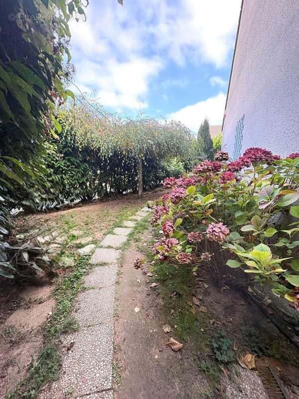 Photo 8 - Maison à OSNY