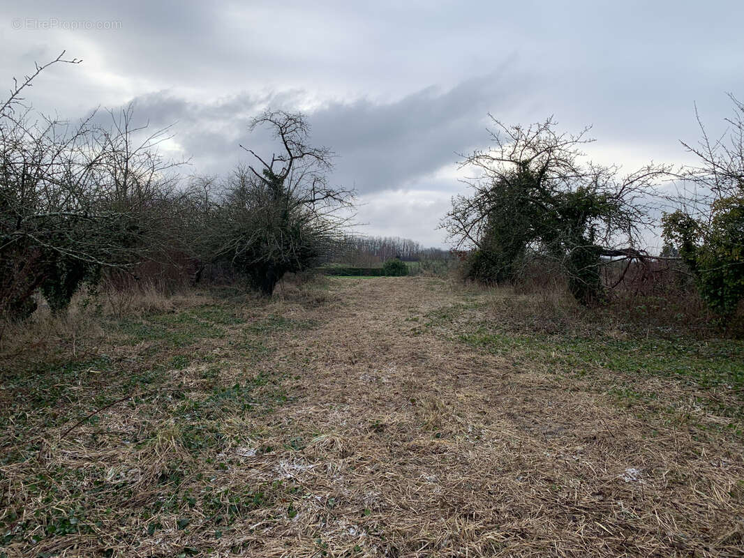 Terrain à DOLLOT