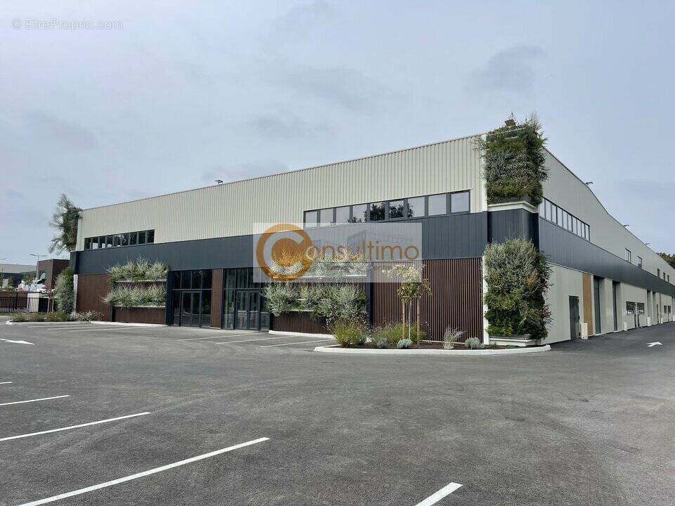 Commerce à SALLEBOEUF