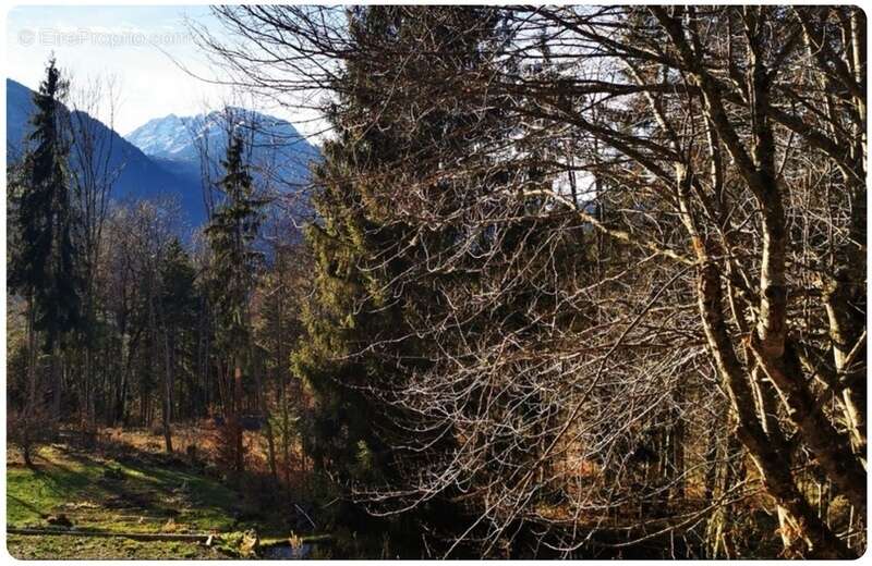 Terrain à ARACHES-LA-FRASSE