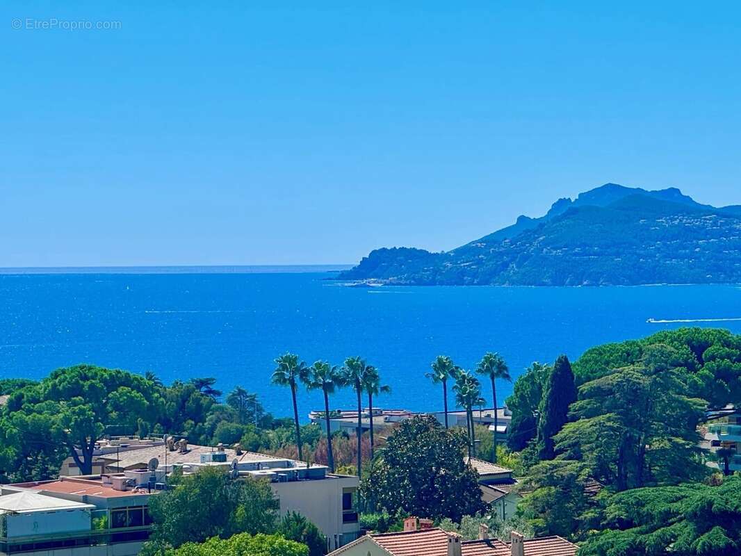 Cannes  Beau 3 pièces vue mer panoramique - photo 17