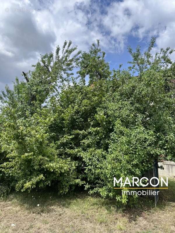 Maison 195 m² à Aubusson  - photo 17