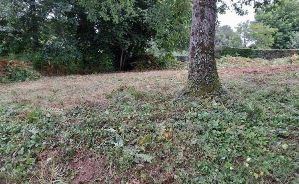 Terrain à LA SAUVAGERE