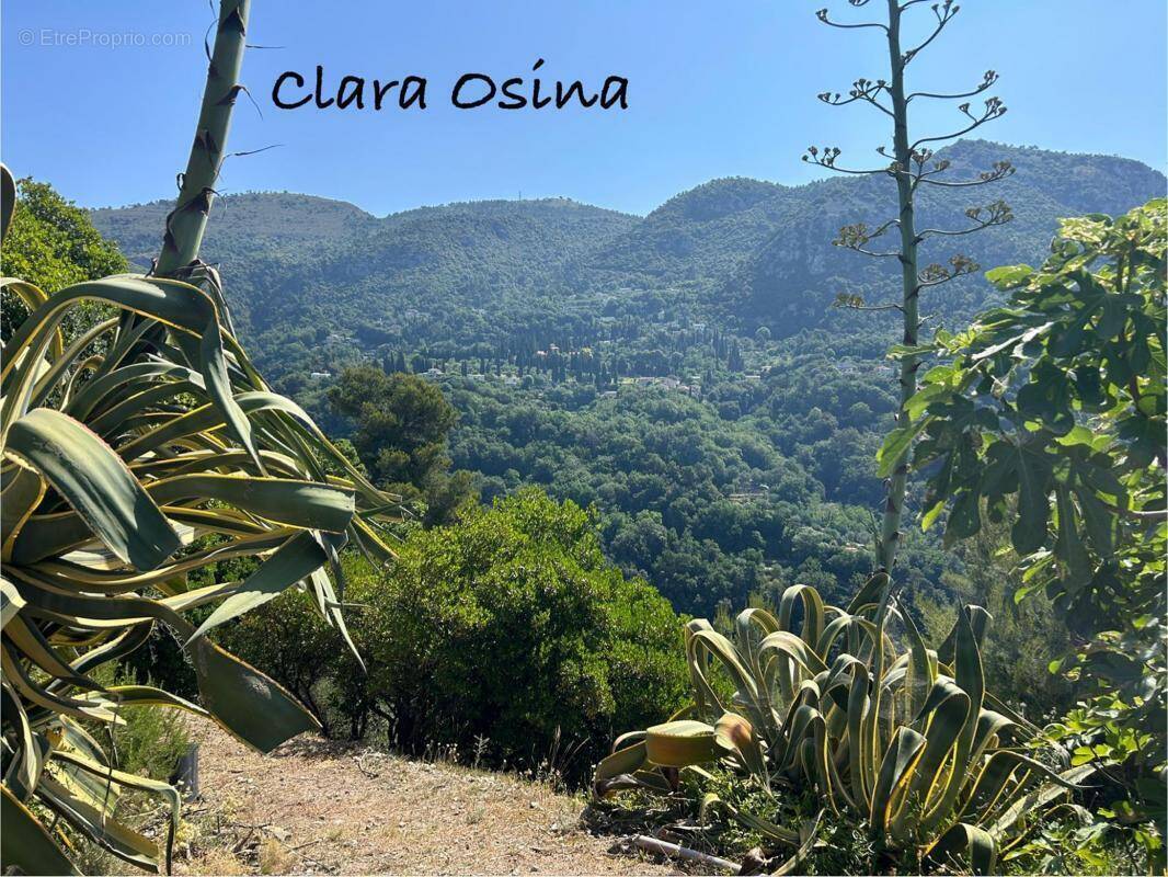 Terrain à CASTAGNIERS