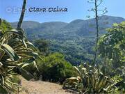 Terrain à CASTAGNIERS