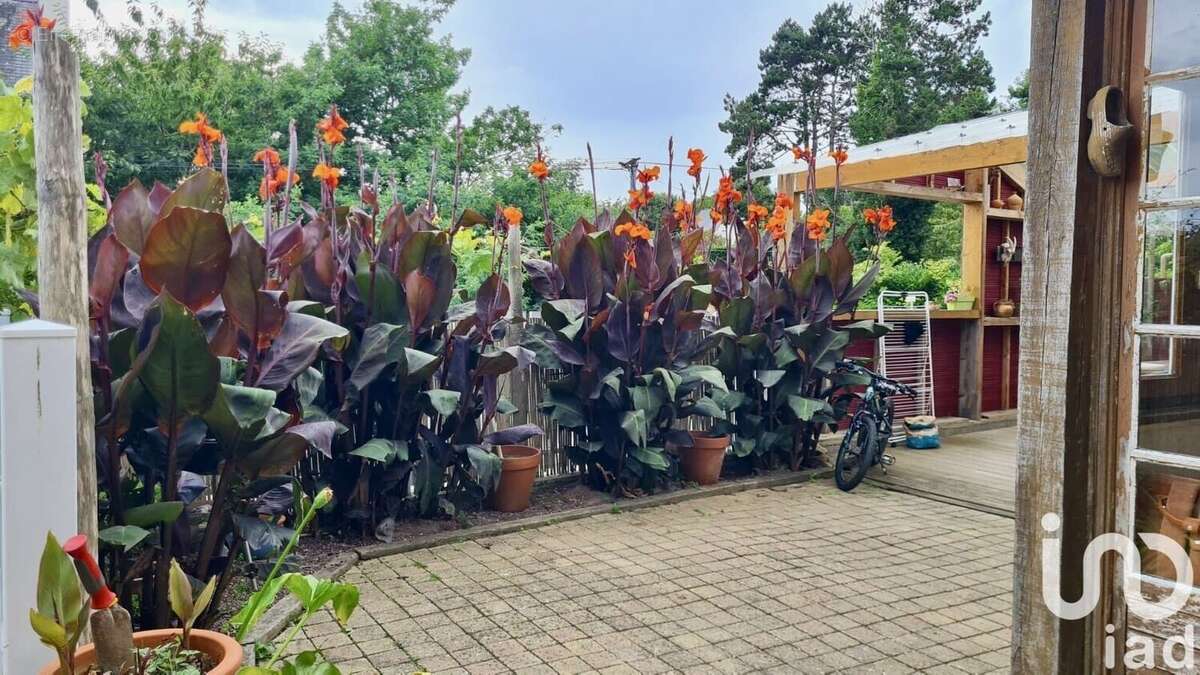 Photo 3 - Maison à PAIMPOL