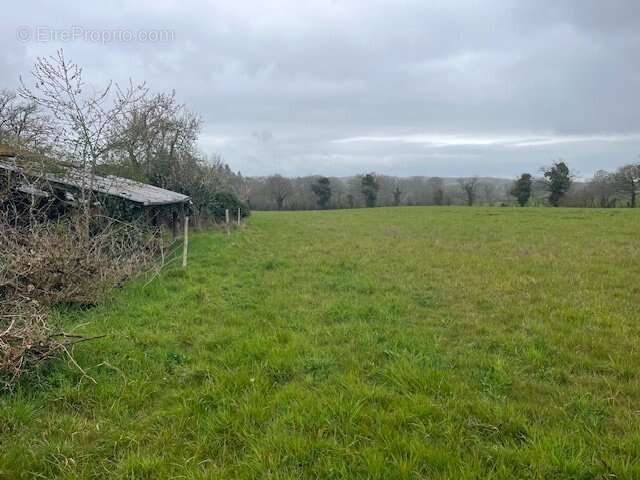 Charmante ferme en pierre avec dépendances et plus de 6 hectares de terrain - idéale pour les passionnés d'équitation - photo 4