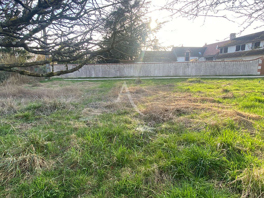 Terrain à MONT-PRES-CHAMBORD