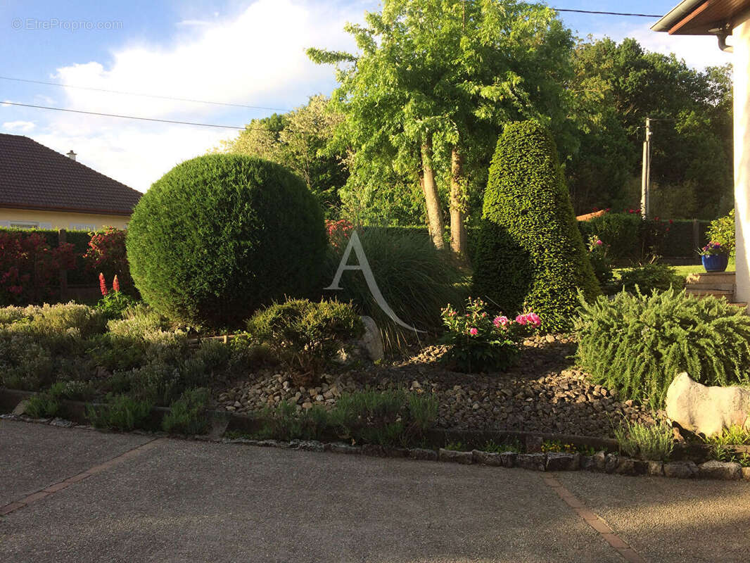 Maison à BOURG-EN-BRESSE