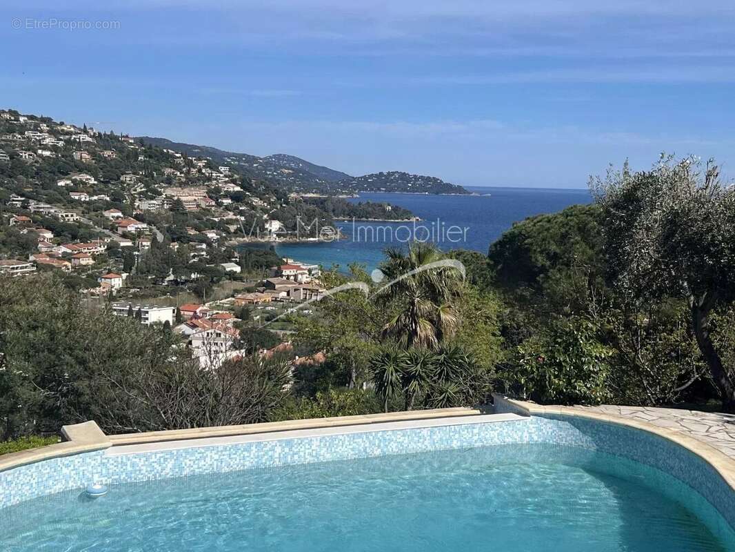 Maison à LE LAVANDOU