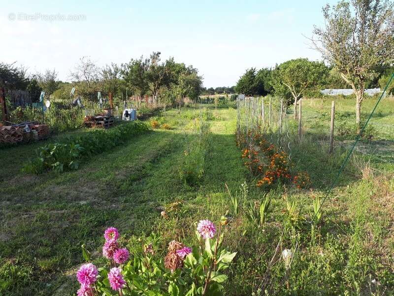 Maison à SAINT-PIERRE-D'OLERON