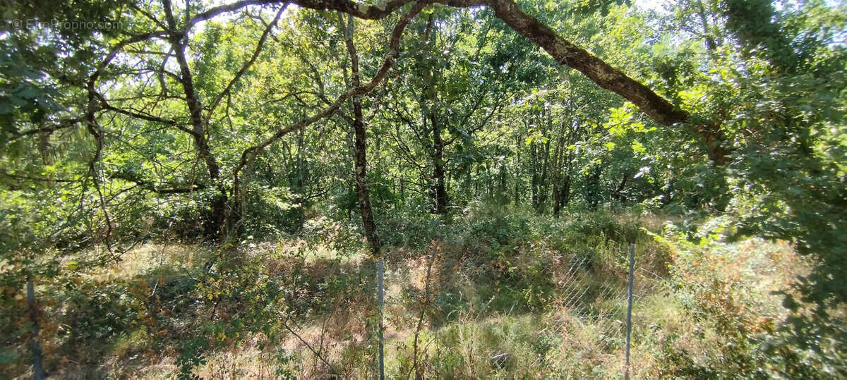 Terrain 1954m² à sainte-colombe-en-bruilhois - photo 2