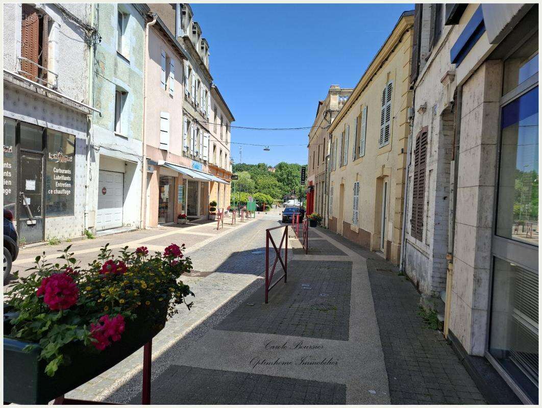 Immeuble de Rapport – Spécial Investisseur – Bourbonne-les-Bains (Ville Thermale) - photo 17