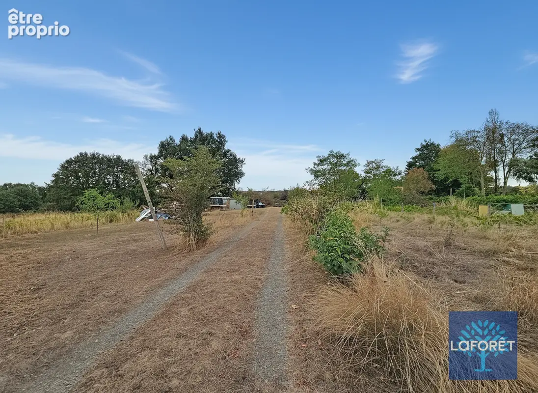 Terrain Sainte Florence 5015 m² - photo 4