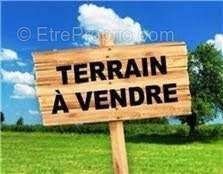 Terrain à MONTREUIL-AUX-LIONS