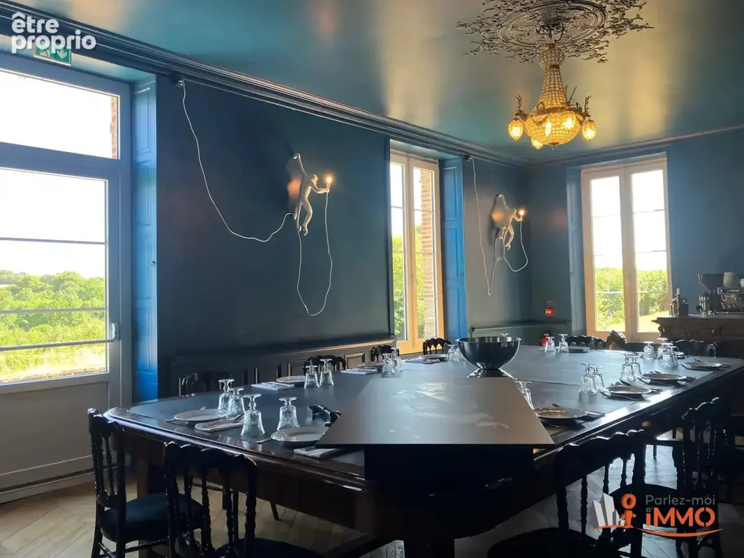 Magnifique château rénové, terrain 9100m2 - photo 29