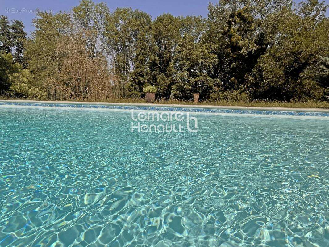 Superbe propriété 6 chambres, piscine sur 6800 m² de terrain - photo 3
