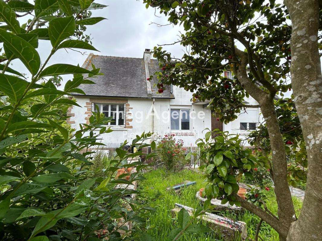 Maison à PLOUARET