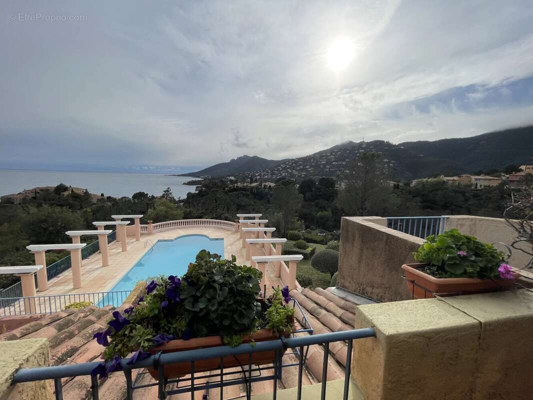 Appartement à THEOULE-SUR-MER