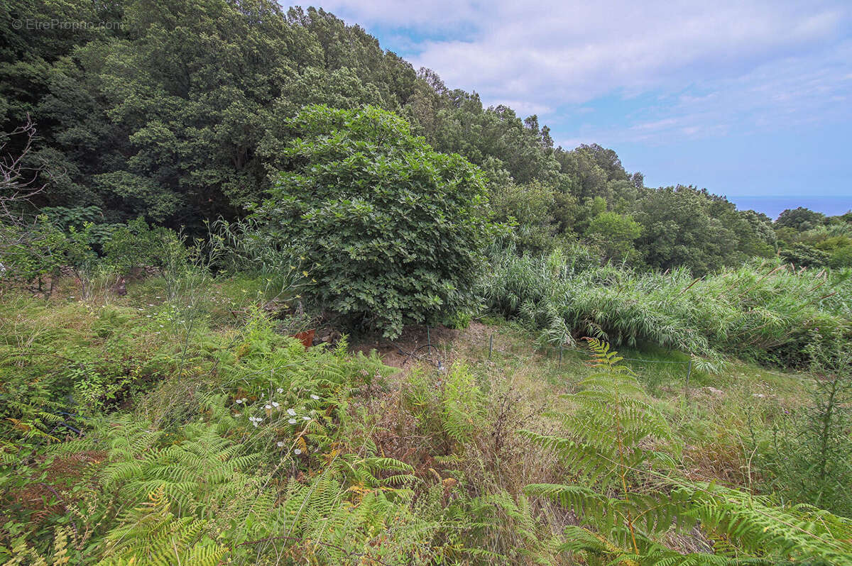 Terrain à BASTIA