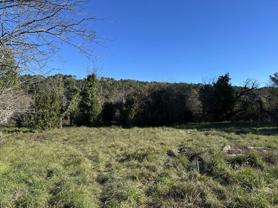 Terrain à CARNOULES