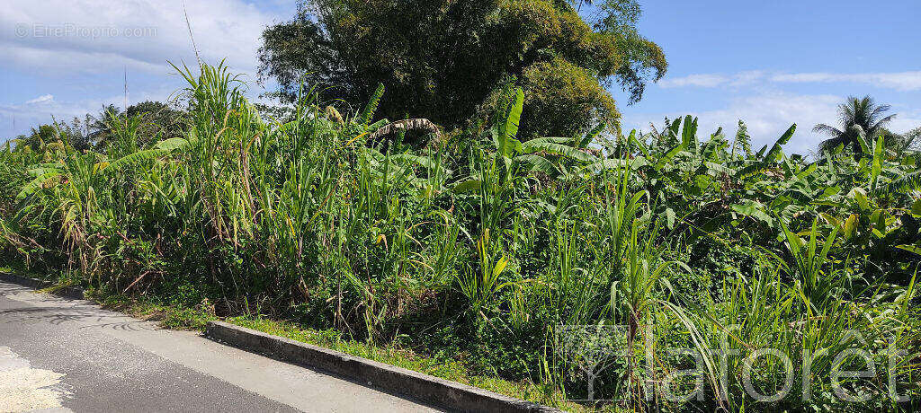 Terrain à CAPESTERRE-BELLE-EAU