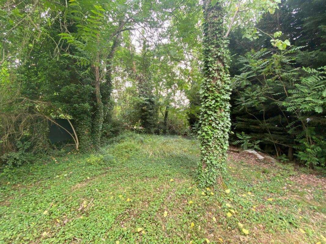 INVESTISSEMENT à ARNOUVILLE (95) - Rue de la GIRONDE - MAISON de 8 pièces de 190 M² sur parcelle de 652 m² - photo 5