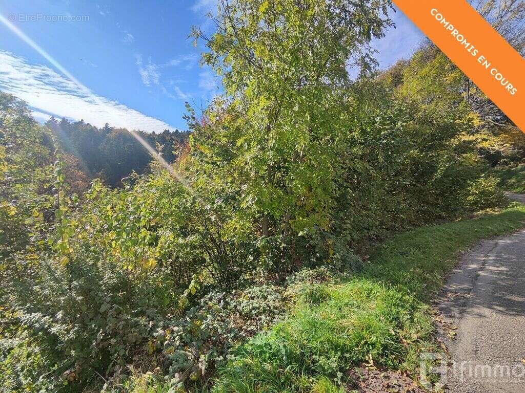 Terrain à BOURBACH-LE-HAUT