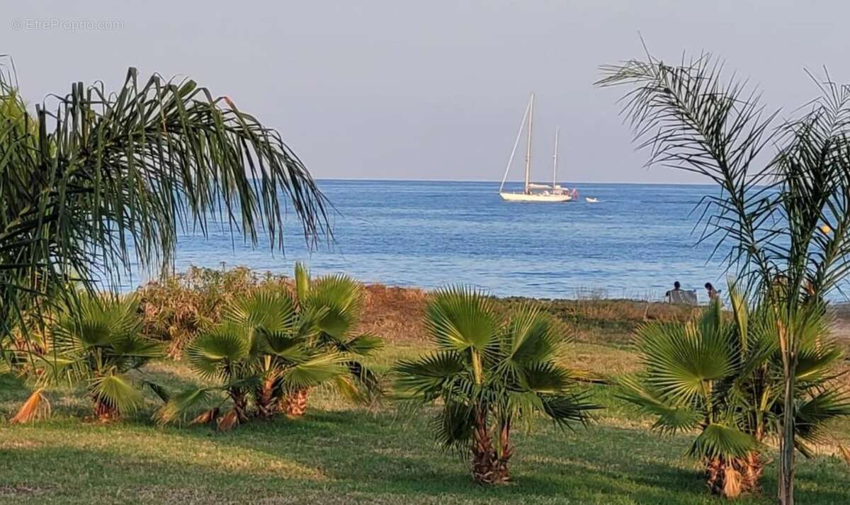 Appartement bord de mer Type 2 - photo 6