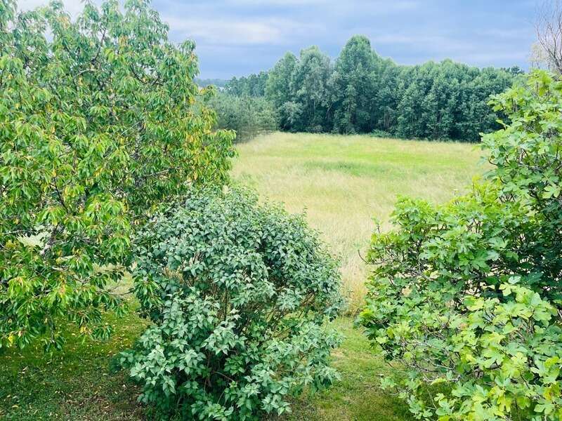 Jolie maison rénovée de 2/3 chambres avec studio indépendant sur un beau terrain arboré de 3600m2 sans vis à vis - photo 7