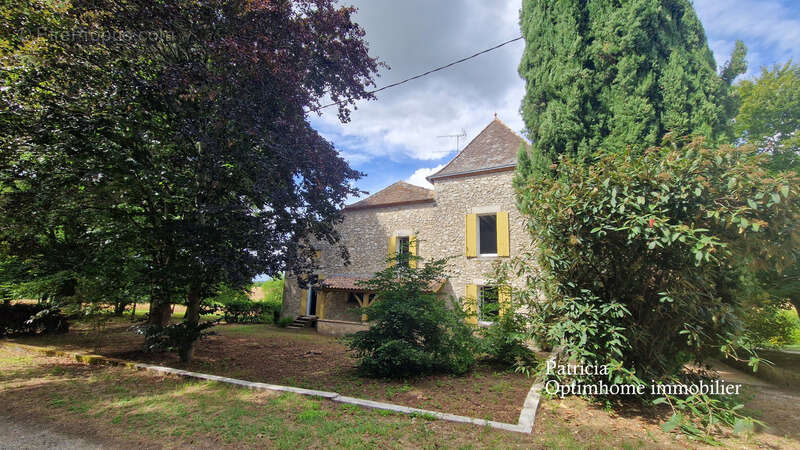 Maison à vendre 10 pièces MONTETON (47) - photo 2