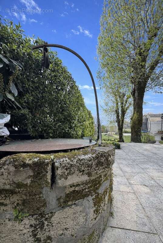 Maison à SAINT-ANDRE-DE-CUBZAC