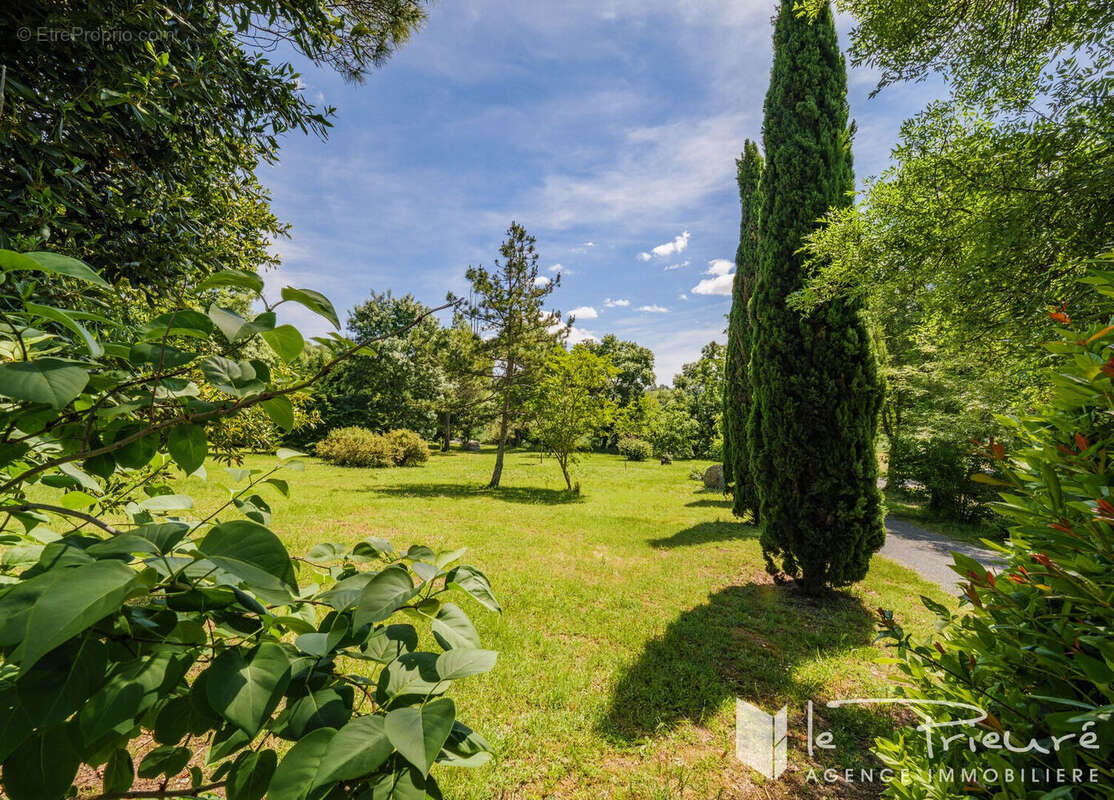 Élégante propriété en pierre rénovée, volumes généreux et cadre naturel privilégié aux portes d'Albi - photo 17