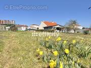 Terrain à PONT-SAINT-MARTIN