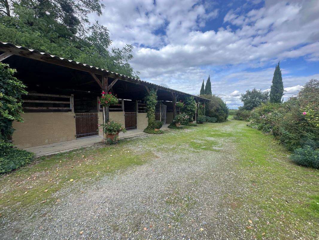 Maison À Vendre - photo 6