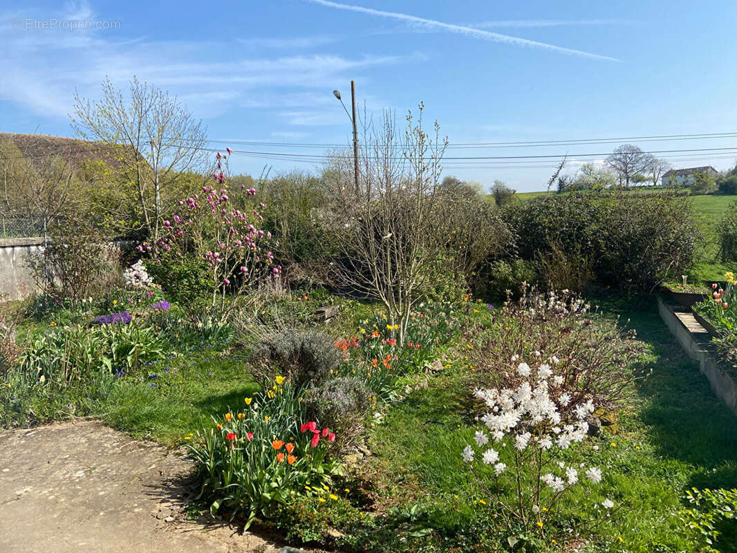 Maison à BILLY-CHEVANNES