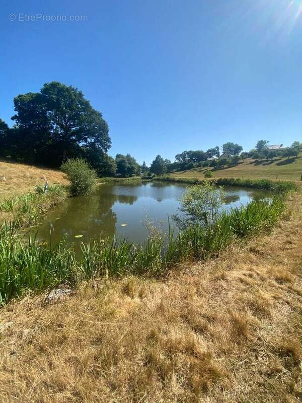 35500 champeaux - photo 4