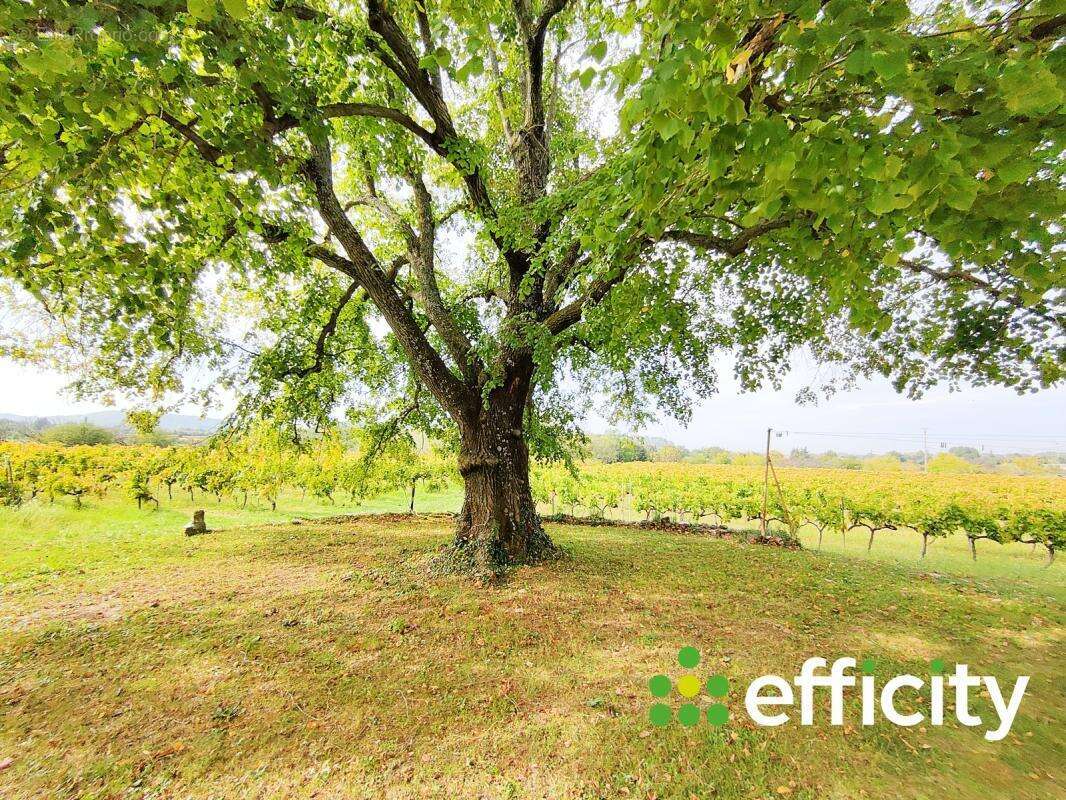 Maison à PERNES-LES-FONTAINES