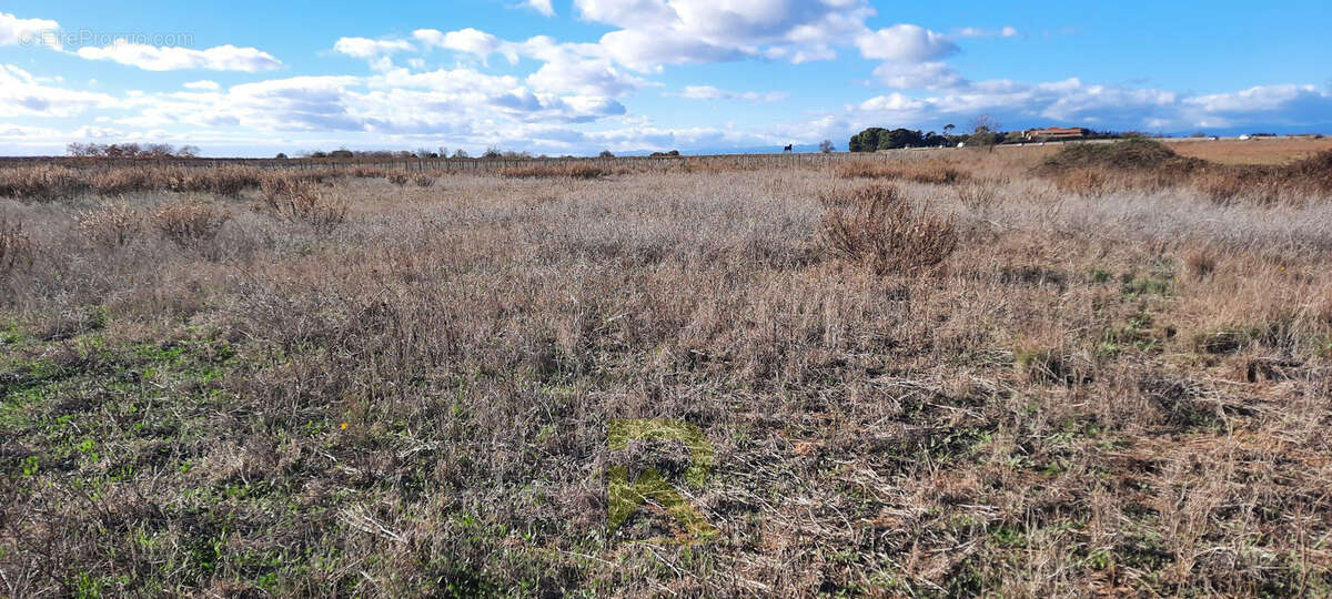 Terrain à PORTIRAGNES