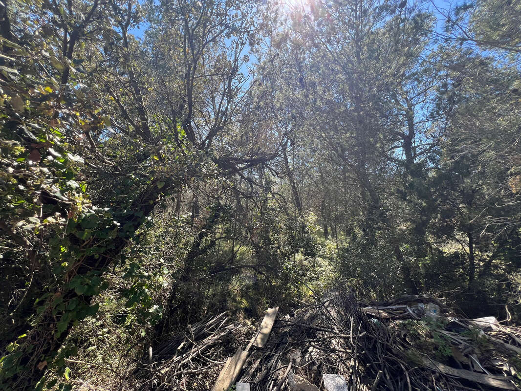 Terrain à LA LIVINIERE