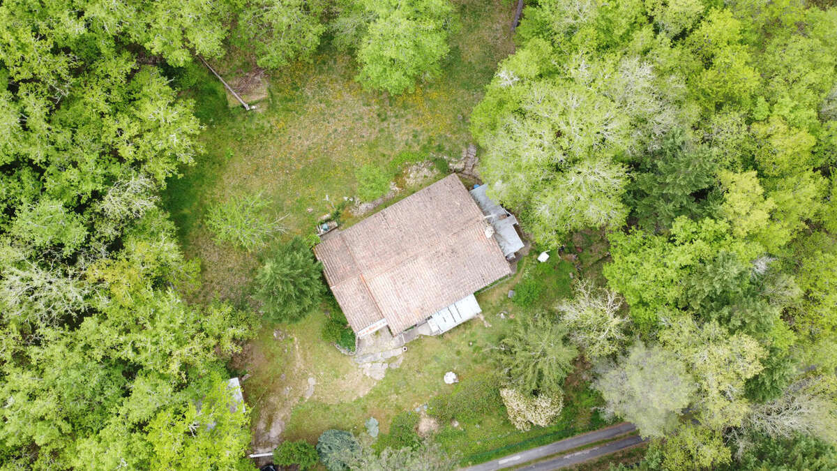 DJI_0885